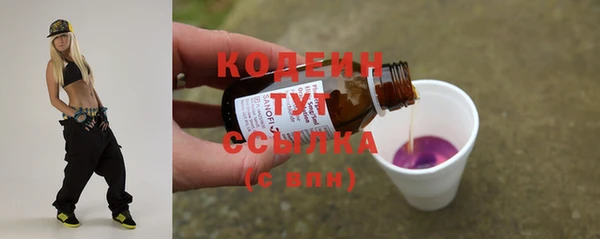 индика Нязепетровск