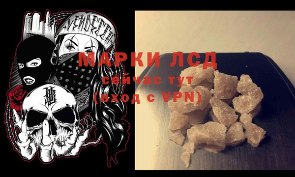 индика Нязепетровск