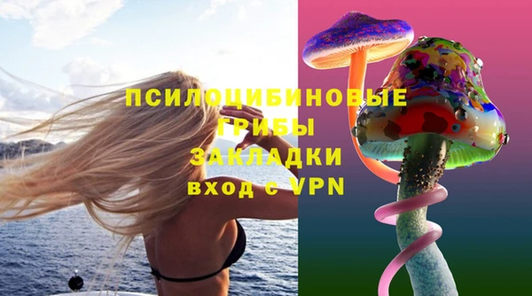 МДПВ Алексин